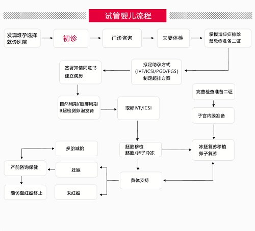 试管婴儿流程的完整时间表：从咨询到新生儿 (试管婴儿流程步骤与时间)